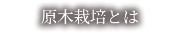 原木栽培とは