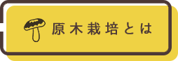 原木栽培とは